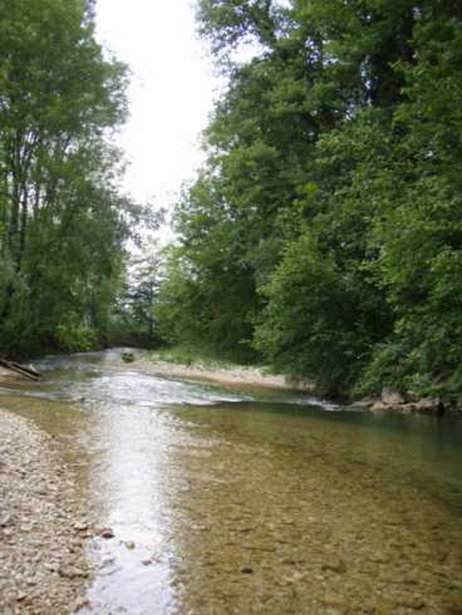 Schulte oberhalb Delemont
