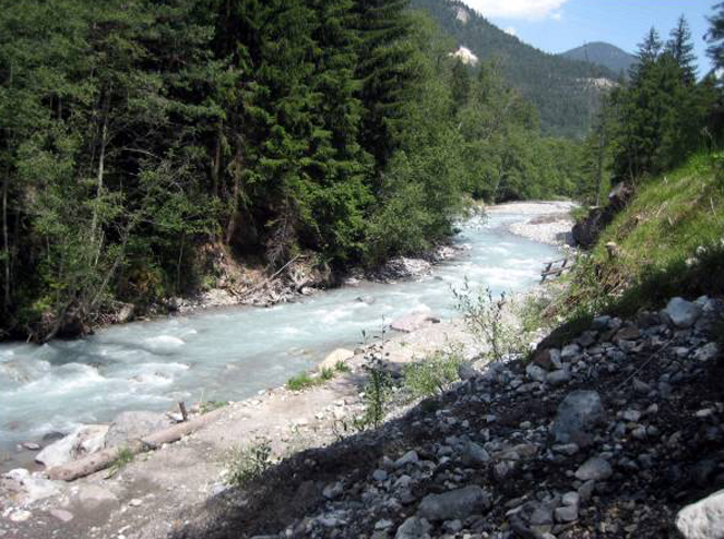 Albula Einfahrt in die Waldschlucht
