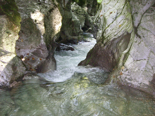 In der Karstschlucht der Orbe