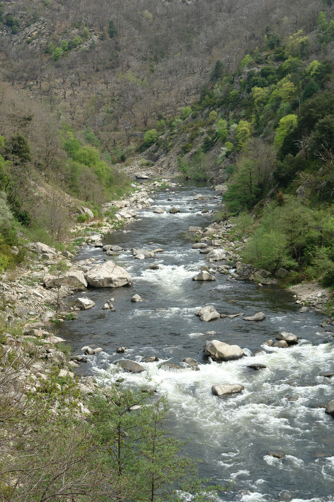 die Eyrieux oberhalb von St.Sauveure