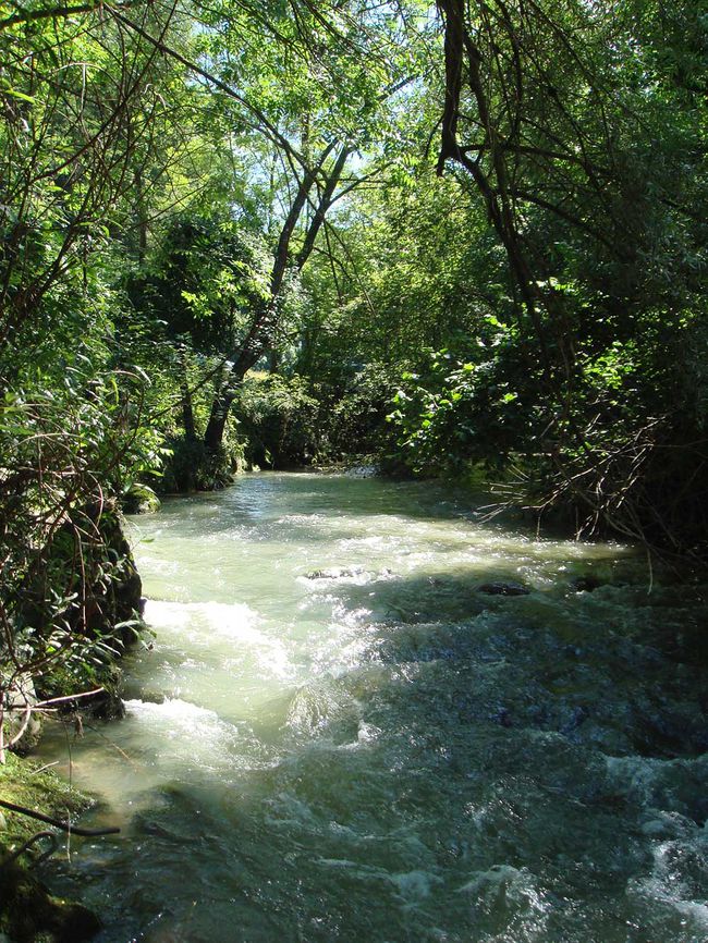 Repisch nach ablaufendem Hochwasser