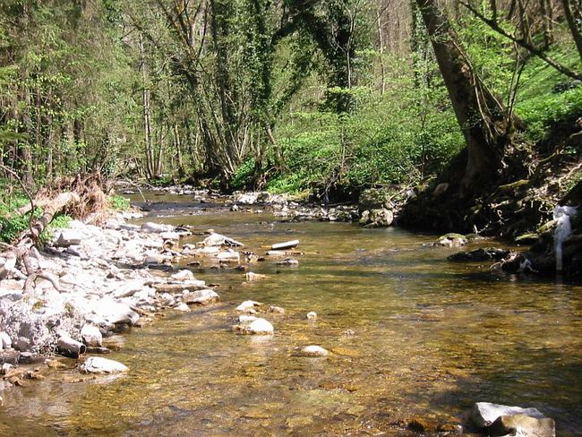 leider zu wenig Wasser an diesem Frühlingstag