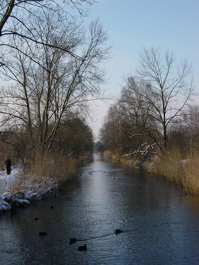 die Glatt beim Ausfluss aus dem Greifensee