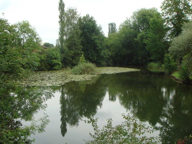 ein Mühleweiher auf der Aa