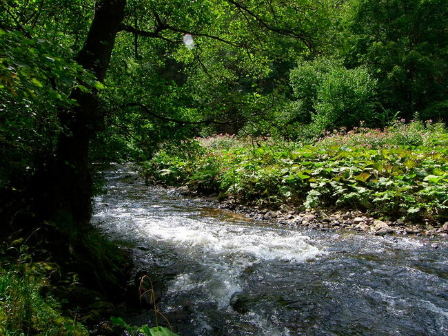 Wutach unterhalb Neustadt